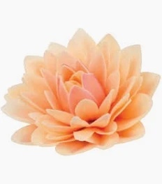 Dekoracja waflowa ASTER ŁOSOSIOWY, sklep cukierniczy Kraków