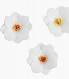 Dekoracja waflowa Hortensja BIAŁA 6 szt., sklep cukeirniczy Kraków