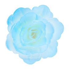 Dekoracja waflowa RÓŹA Biała 4,5 cm, sklep cukierniczy Kraków