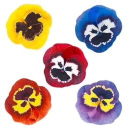 Kwiaty waflowe na tort muffinki BRATKI 5 szt. Rose Decor, sklep cukierniczy Kraków