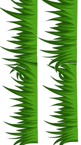 Wydruk jadalny na tort TRAWA wz.I, sklep cukierniczy Kraków